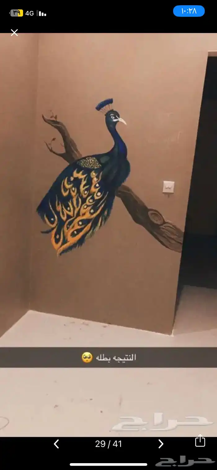 رسام متخصص 30