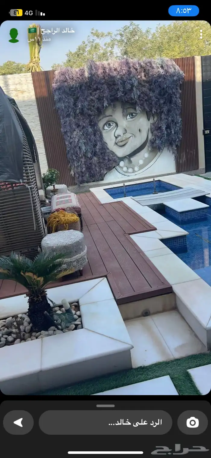 رسام متخصص 41