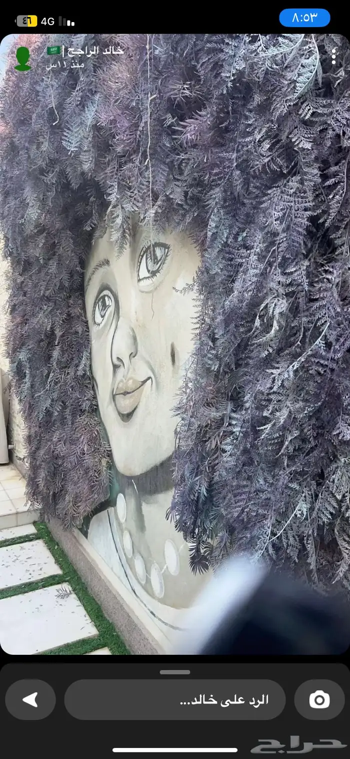 رسام متخصص 40