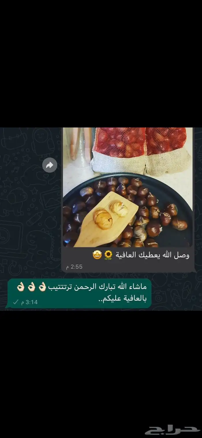 كستناء تركية ابو فروة مستوردة (مشروط لو ما ناسبك استرجعه). 0
