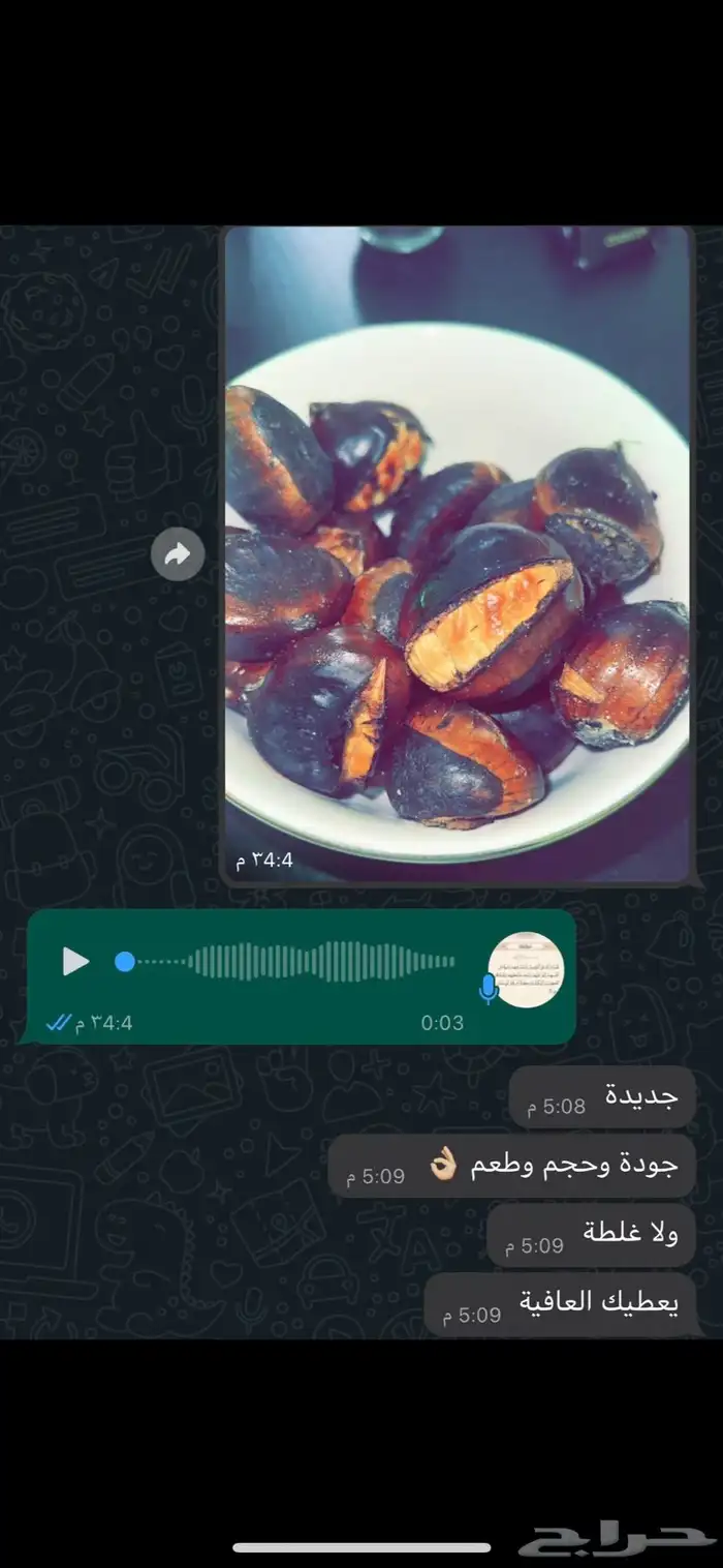 كستناء تركية ابو فروة مستوردة (مشروط لو ما ناسبك استرجعه). 9