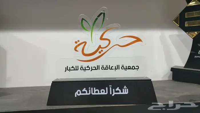 دروع VIP وحسب تصميمك 30