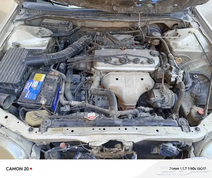 Honda Accord هوندا اكورد للبيع مديل 99 5