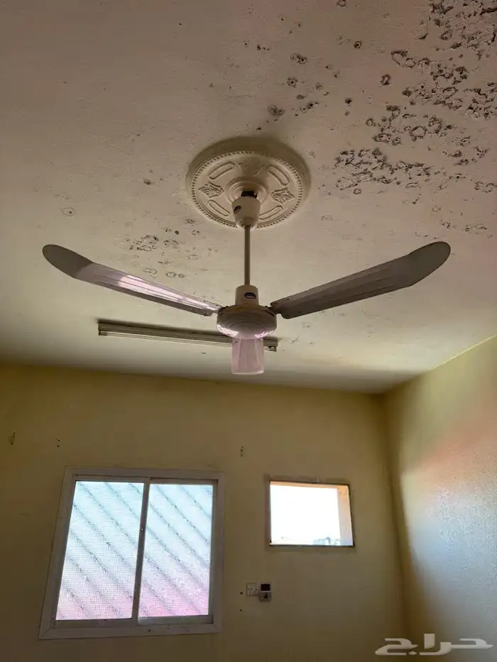 7 ثريات 3 مراوح 10 مغاسل 3 مجلى 4