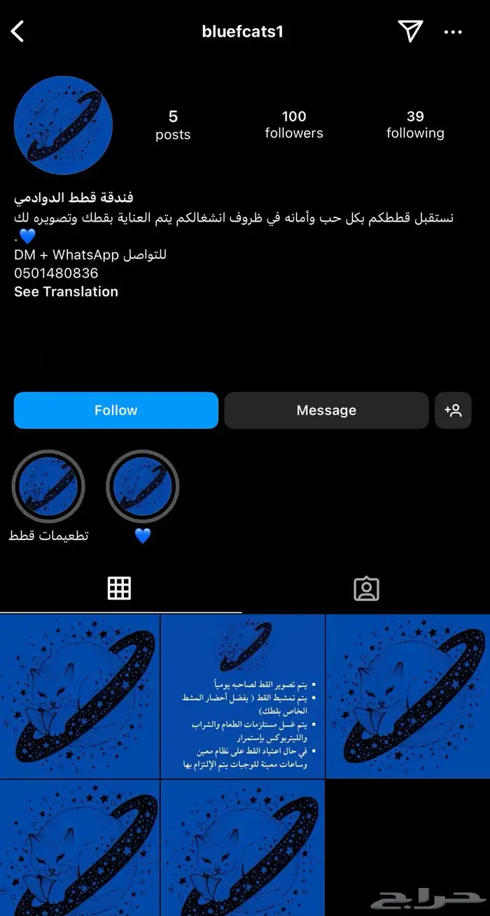 فندقه قطط 0
