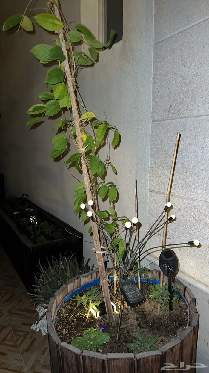 احواض للزراعه خارجيه 9