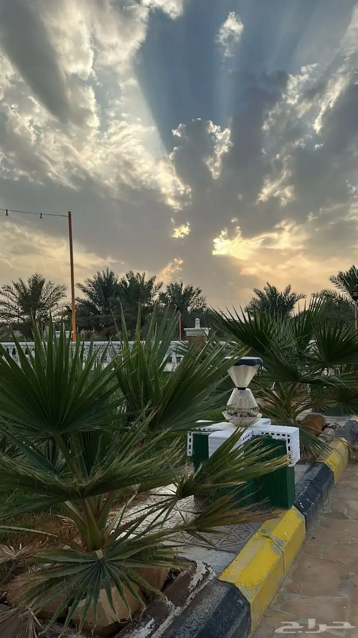 منتجع للإيجار اليومي مساحة 10.000 6