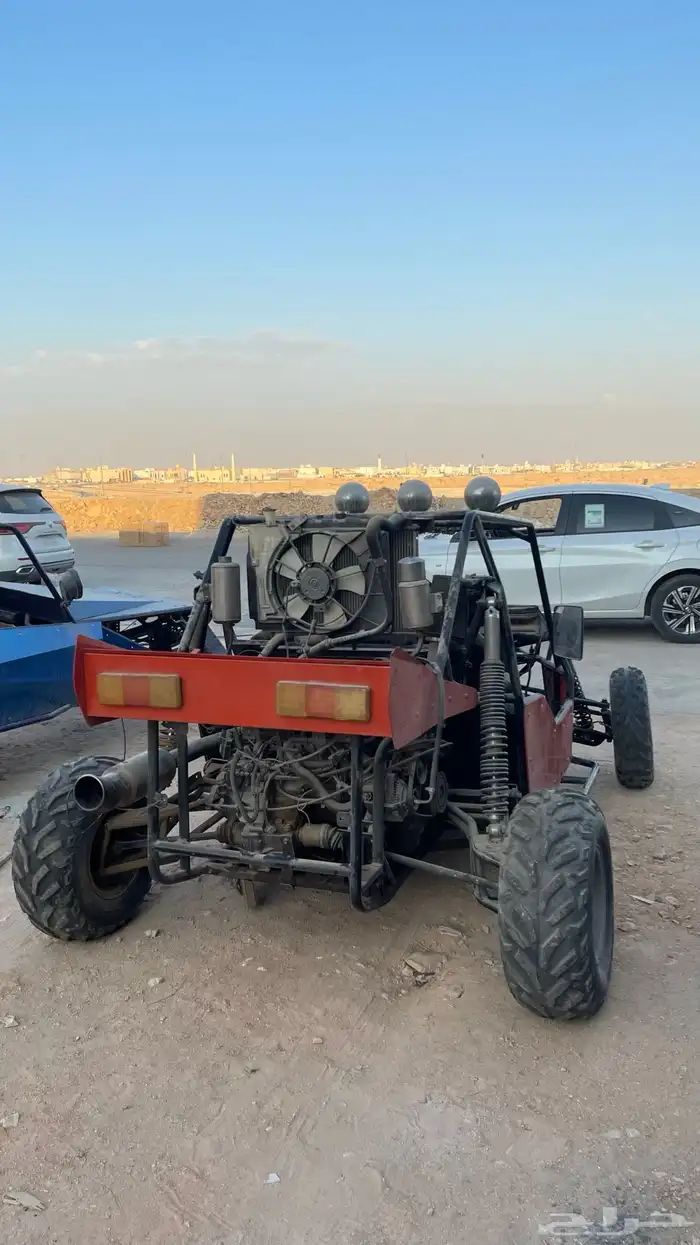للبيع بقي برتقالي 10
