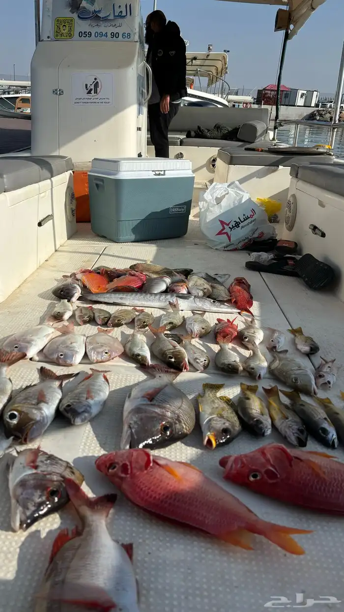 قارب صيد نزهه للإيجار الرايس بوت 0