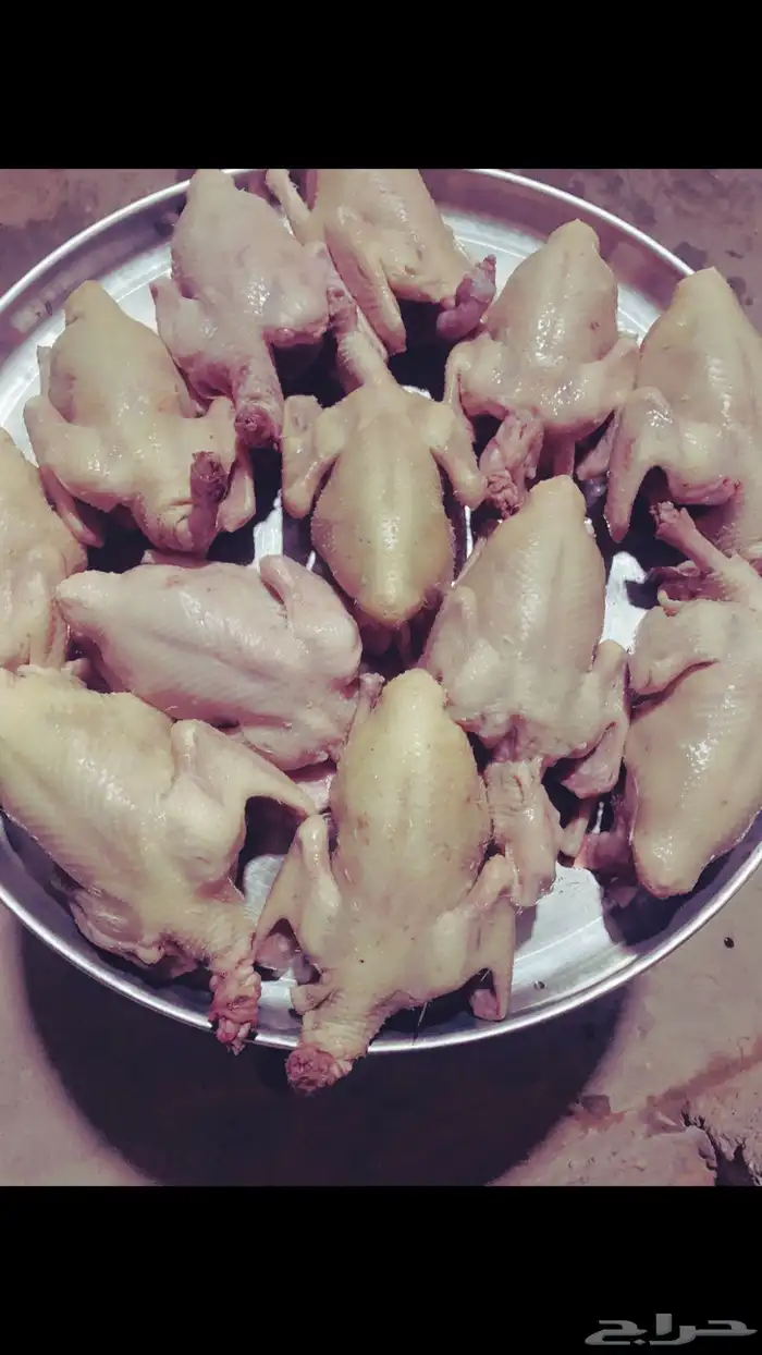 حمام فرنسي سوبر جامبوو 17