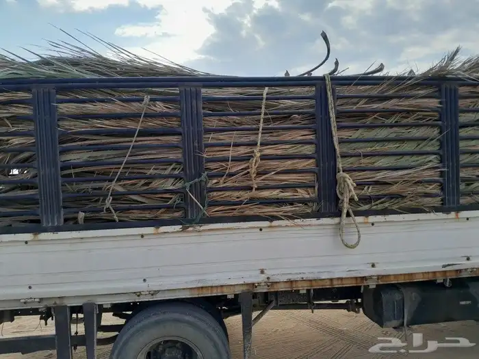 جريد نخل داخل الرياض نوفر كميه مع التوصيل 2