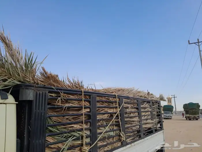جريد نخل داخل الرياض نوفر كميه مع التوصيل 0