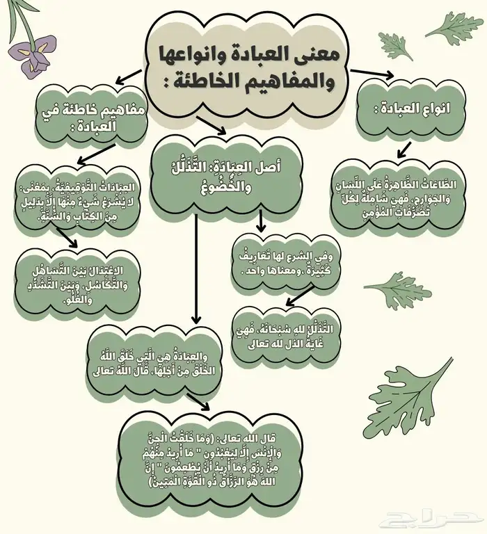 مشروع تخرج ورسم بياني 0
