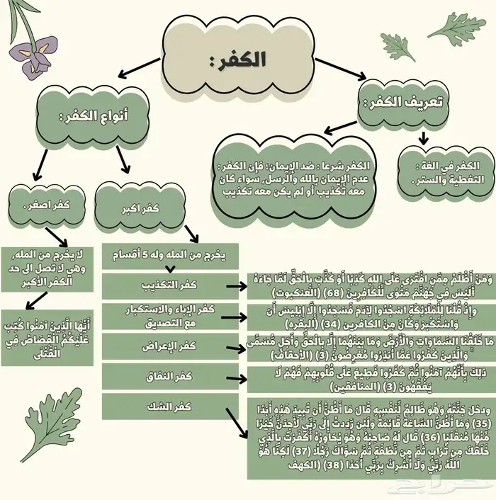 مشروع تخرج ورسم بياني 4