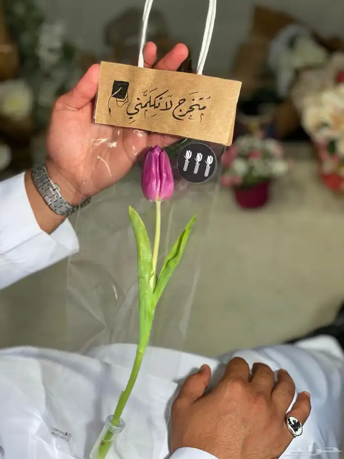 خطاط الشرقية لجميع المناسبات 0