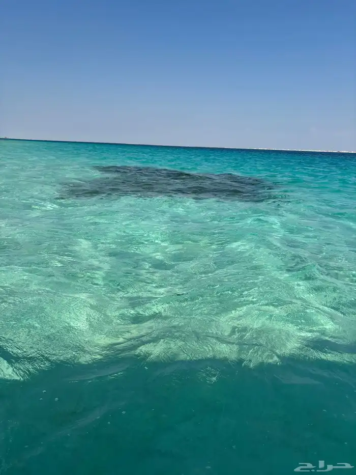 قارب صيد نزهه للإيجار الرايس بوت 2