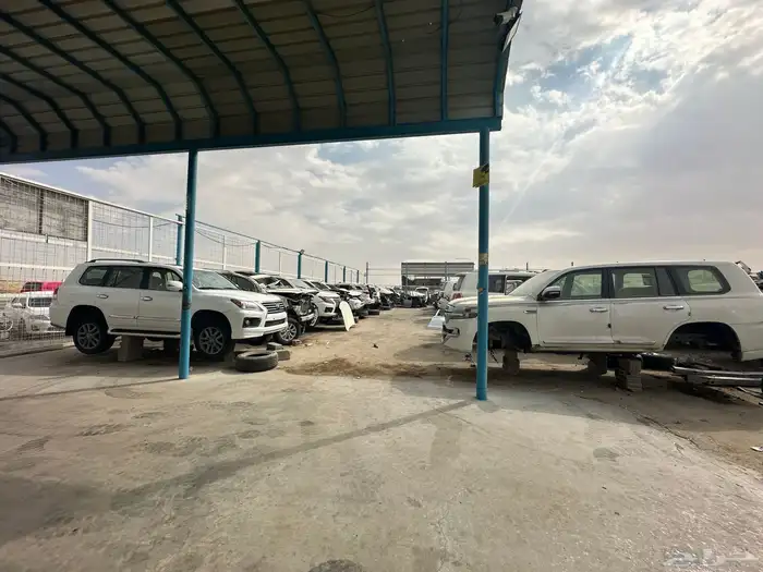 تشليح نسمه الشروق جيوب 10