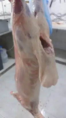 حفلات مشويات خارجية (بمحافظة المجمعة ومنطقة سدير بالكامل ) 18