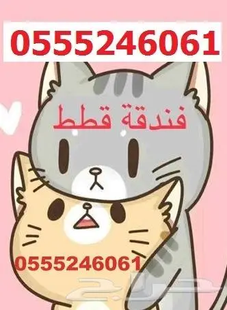 فندقه قطط طيور 6061 24 0555 حي المصيف 0