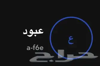 يوزرات سناب مميزه للبيع 5