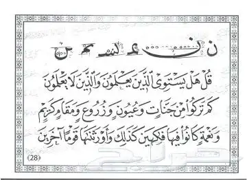 معلم ومدرب للخط العربي وتأسيس الصفوف الأولية 7