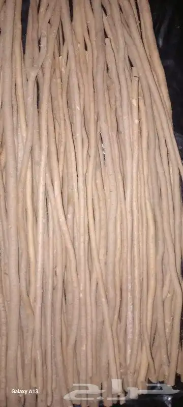 مسواك سواك مساويك .انظر التقييم 6