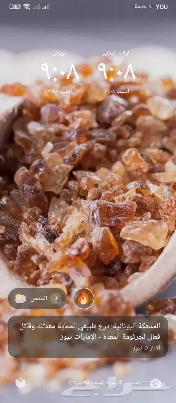 لبان بخور حضرمي ولبان شرب واكل شحري ابيض 2