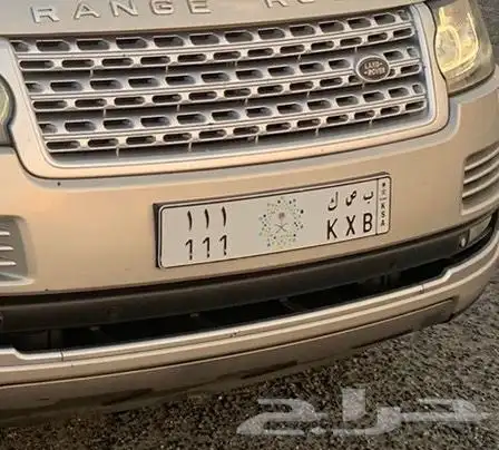لوحة مميزة للبيع على السوم 0