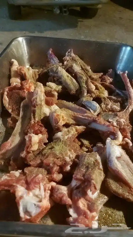 حفلات مشويات خارجية (بمحافظة المجمعة ومنطقة سدير بالكامل ) 19