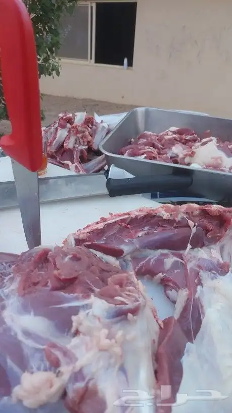 حفلات مشويات خارجية (بمحافظة المجمعة ومنطقة سدير بالكامل ) 15