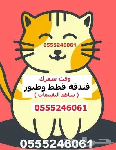 فندقه قطط طيور 6061 24 0555 حي المصيف 2