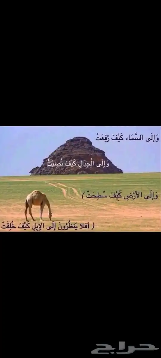 إمام مسجد أبحث عن مسجد أئم الناس 0