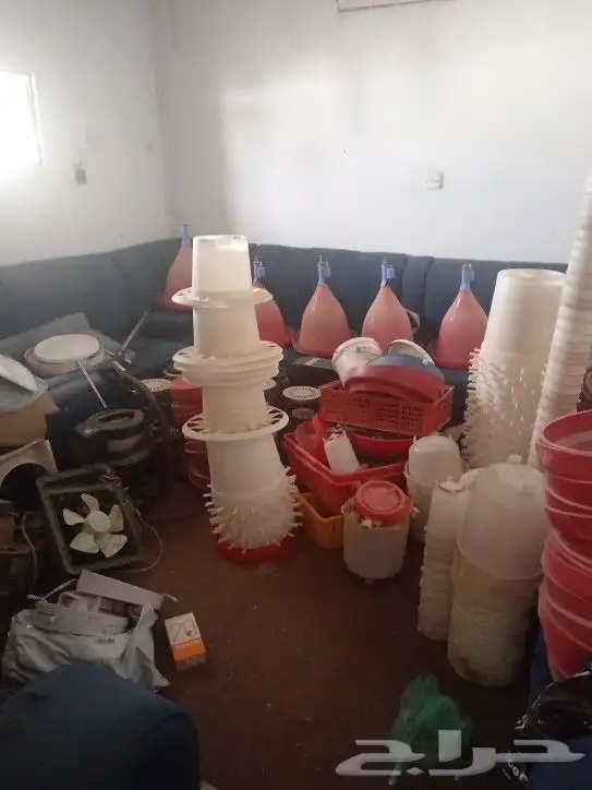 أغراض مشروع دواجن 9