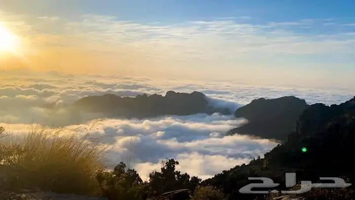 تصوير درون - تصوير جوى - تصوير بجودة عالية واحترافية 2