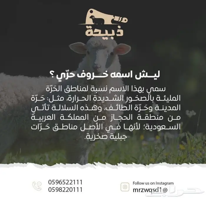 متجر ذبيحة 91
