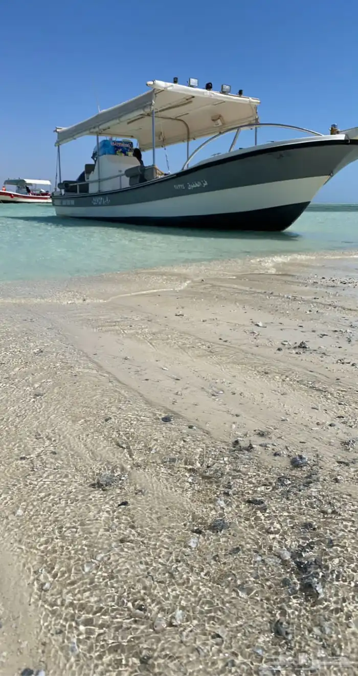 قارب صيد نزهه للإيجار الرايس بوت 6