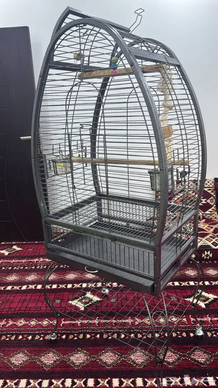 قفص كبير للطير 3
