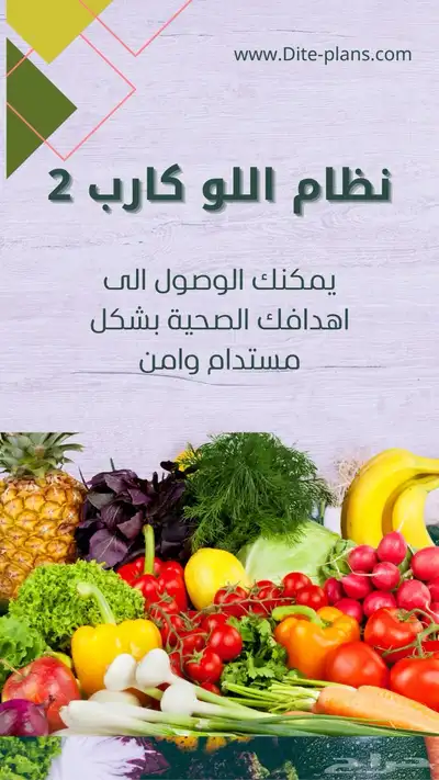وجبات صحية دايت رجيم انظمة غذائية 0