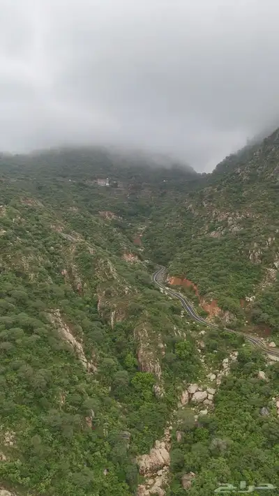 تصوير جوي 0