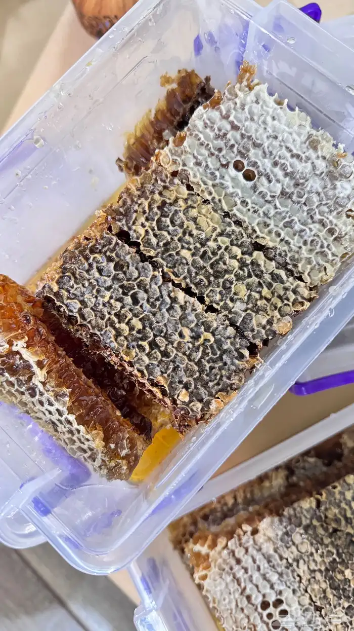 شمع العسل 1