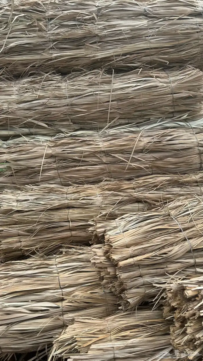 جريد سعف عسيب نخل 0