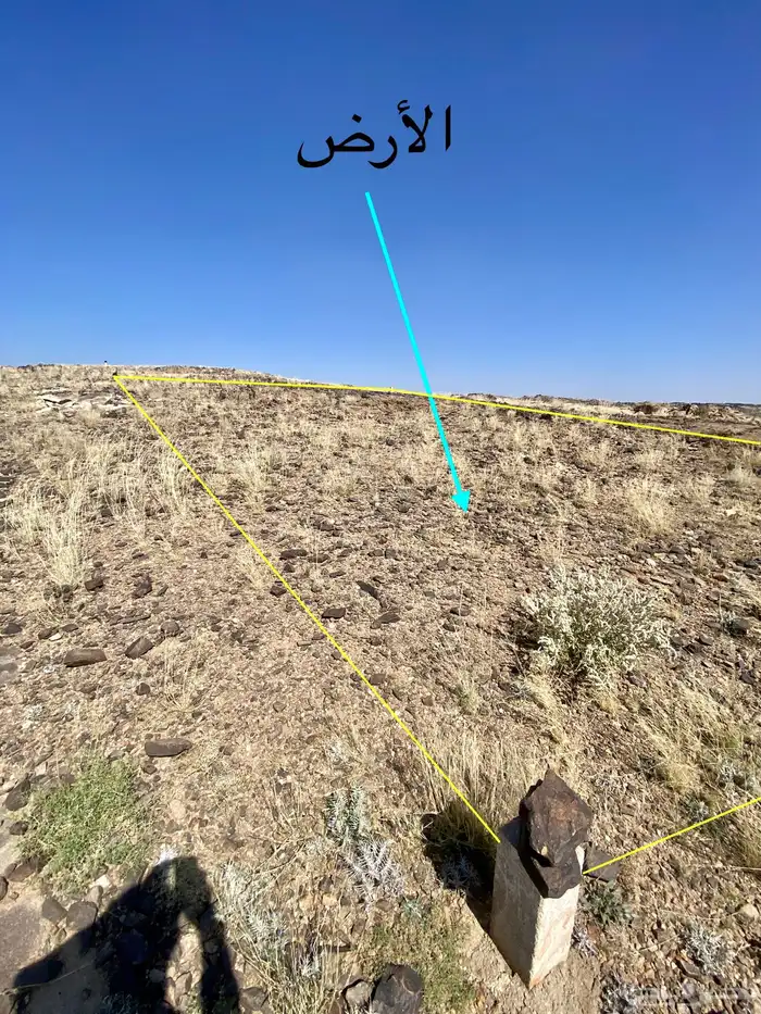 أرض للبيع الخميس مساحة 600 ب 350 صافي للمالك 0