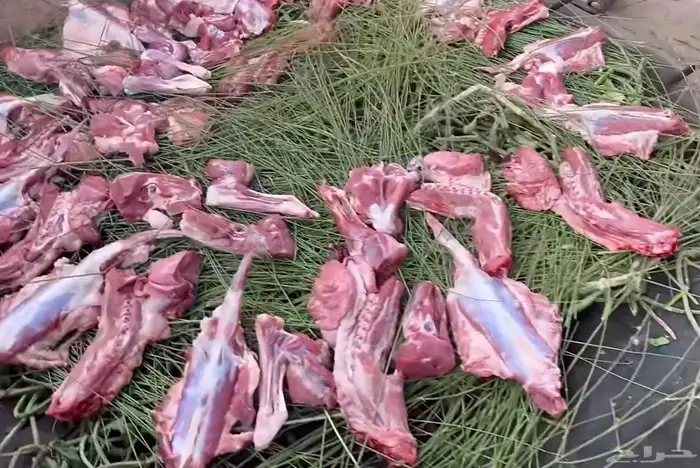 حزم مرخ للمندي والحنيذ 3