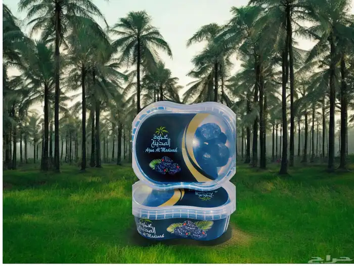 عجوة المدينة المنورة 3