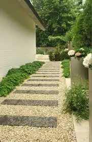 شتلات زراعيه للحدائق و الفلل و المزارع 5
