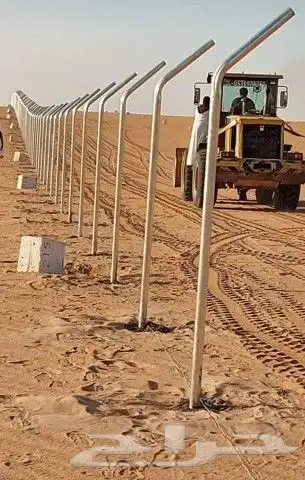 توري نخيل وأشجار زيتون 1