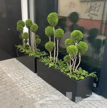 احواض فيبر جلاس 5