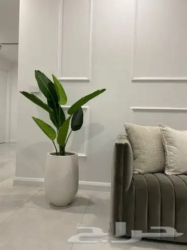 احواض فيبر جلاس 1