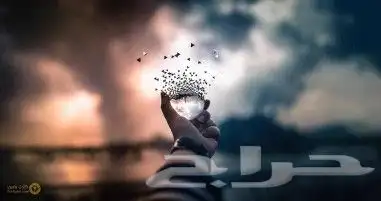 حل اختبار حاسب الي 0