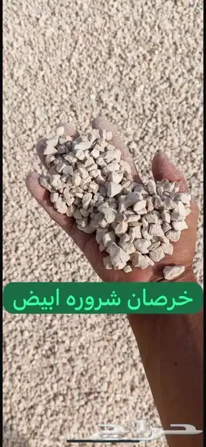 بطحاء   سافي   بطحاء شروره . بطحاء الرياض خيرصان بجميع أنواع 2
